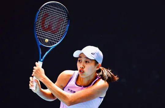 荷兰小胜波黑，实力碾压对手
